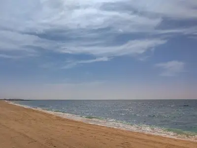 a beach with the ocean on a cloudy day at Amazing 1BD sea view apartment in Port de La Mer in Dubai
