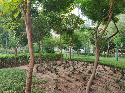 a row of trees in a park with grass at Sleek and Stylish 2-Bedroom Apartment in Dubai