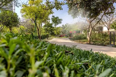 a road in a park with green grass and trees at STAY BY LATINEM Luxury 1BR Holiday Home CVR A703 near Burj Khalifa in Dubai