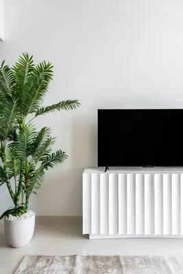 a living room with a tv and a plant at Sea view 2-Bedroom - Beach Isle in Dubai