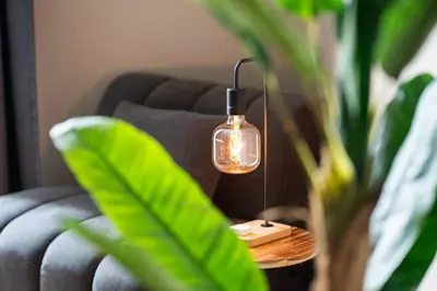 a lamp on a table next to a couch with a plant at Luxury apartment at Discovery in Dubai