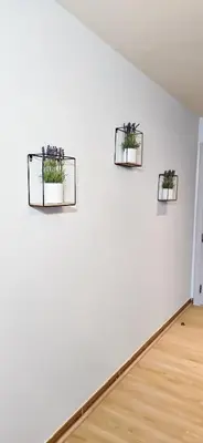 two plants on a wall in a white room at Spacious Apartment Marina View in Dubai