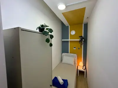 a room with a plant sitting on top of a cabinet at Lovely Partition Room in Barsha 1 Near Metro in Dubai