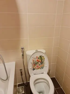 a bathroom with a toilet with a painting on the lid at Studio in Dubai