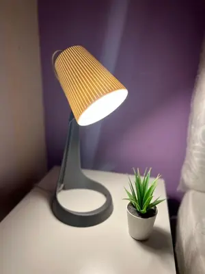 a lamp on a table next to a potted plant at Peaceful Partition Room Near Mall of the Emirates in Dubai