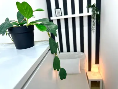 a plant sitting on a table next to a chair at Striped Partition Room in Barsha 1 Near Mall of the Emirates in Dubai
