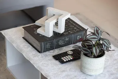 a couple of books on a table with a potted plant at Downtown Luxurious 1BR Near Dubai Mall and Fountain in Dubai