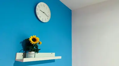a clock on a blue wall with a flower on a shelf at Nicest Partition Room in Barsha Heights Near Internet City Metro in Dubai
