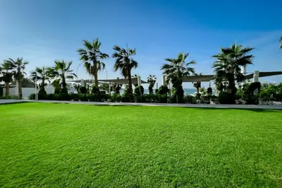 a large grassy yard with palm trees in the background at Luxury apartments at La Vie in Dubai
