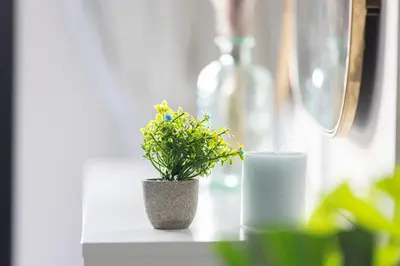 a potted plant and a glass of milk on a table at Spacious Balcony, 1BR, Pool, Full Kitchen at JVC in Dubai