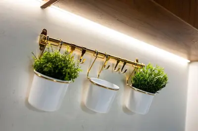 three potted plants are hanging on a wall at Goldbest La Mer - Luxury 1 bdr Apartment with Beachfront Pool in Dubai