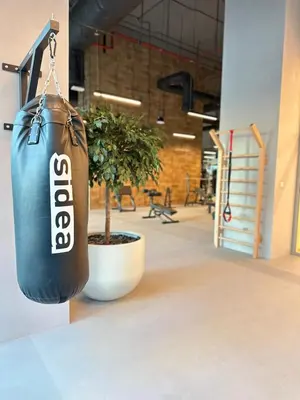 a punching bag hanging in a room with a potted tree at VIP Experience Dubai Downtown at Forte Tower - Burj Khalifa and Fountain View - Modern Luxury Apartments in Dubai