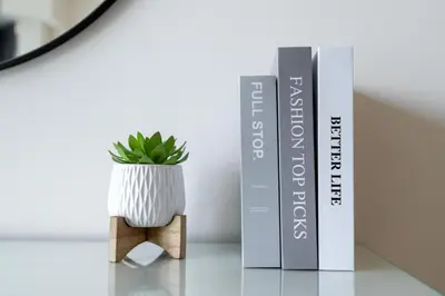 a plant sitting on a table next to two books at Gala Guests - Deluxe Marina View Apartments with Infinity Pool in Dubai