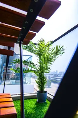 a plant in a pot sitting on a window at Sky View, Furnished, FreeParking in Dubai