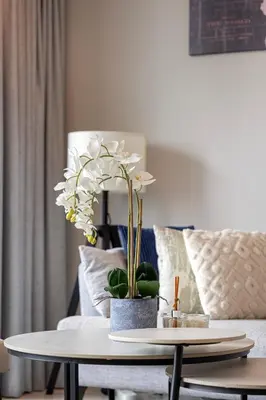a living room with a table with a white plant at Daniels 1BR at Silverene Tower Dubai Marina in Dubai