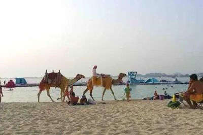 a group of people riding camels on a beach at Breathtaking 2BR with Full SeaView in Dubai
