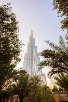 a tall building with palm trees in front of it at Sophisticated Studio near Burj Khalifa in Dubai