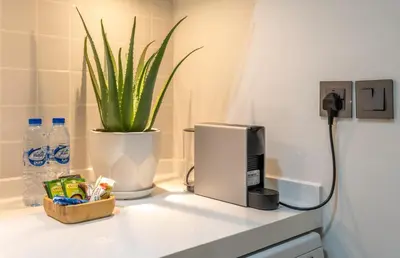 a counter with a coffee maker and a plant on it at Modern studio near the beach in Dubai