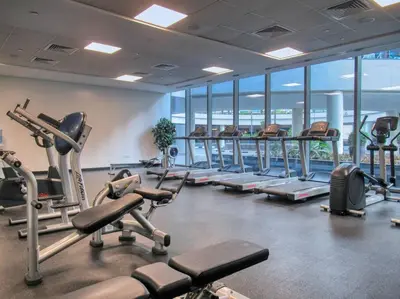 a gym with rows of exercise bikes and treadmills at The Smart Concierge - Silverene in Dubai