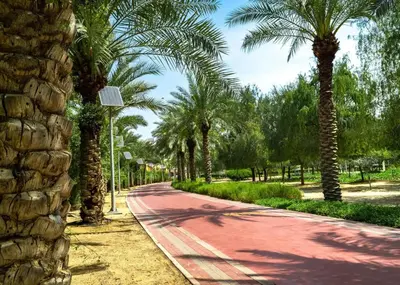 a road lined with palm trees in a park at Cozy Studio in JVC in Dubai
