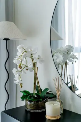 a table with a mirror and a plant and a lamp at Nasma - Modern 3BR Oasis with Balcony in Azizi Riviera in Dubai