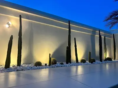 a group of cacti and cactuses in front of a wall at Luxurious Villa 5BHK with Pool BBQ and Full Time Housemaid Assistance - live in in Dubai