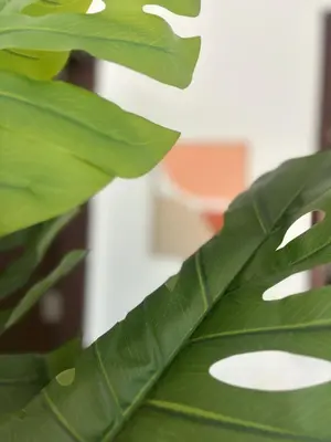 a close up of a green leafy plant at Luxury One Bedroom Apartment with Fountain View opposite Dubai Mall in Dubai