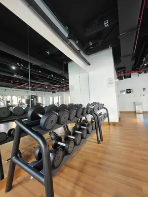 a row of rows of dumbbells in a gym at Luxurious apartment in Downtown, Dubai in Dubai