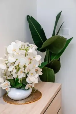 a white vase with white flowers on a table at Modern Studio in Seven Palm in Dubai
