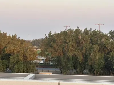 a row of trees in front of a parking lot at Luxurious Meydan Dubai Villa with Unparalleled Views in Dubai