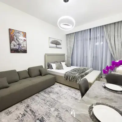Furnished Studio Azizi Riviera 3