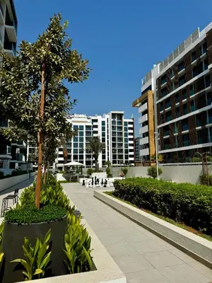 a tree in a park with buildings in the background at 8min from Downtown in Dubai