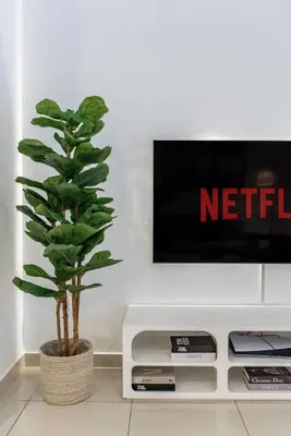 a plant sitting in a living room next to a tv at ShoresInn - Dubai Marina's Classic Stay in Dubai