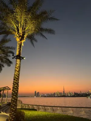a palm tree with a sunset in the background at 1bedroom Apartment With Stunning view Creek Harbour in Dubai