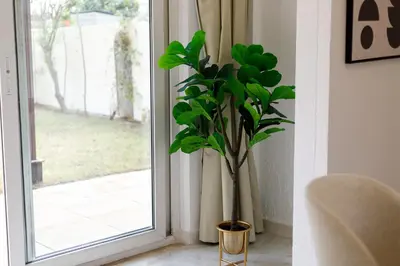 a plant in a vase next to a window at Family Friendly - 2BR & Maid's Room in The Springs 10 - Allsopp & Allsopp in Dubai