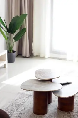 two circular tables in a living room with a plant at Cozy 1 Bedroom Apartment in Dubai