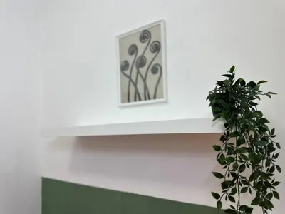 a plant sitting on top of a white wall with a picture at Double Bed Partition Room Near Mashreq Metro in Dubai