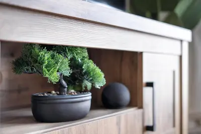 a potted plant sitting on a wooden shelf at Marina Majesty- Homely & Cozy 2BR, CanalView, Central Location in Dubai