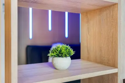 a plant in a pot sitting on a shelf at Exclusive Apt 4 Pex with Burj Khalifa View in Dubai