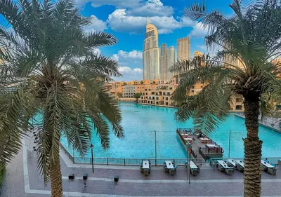 a large swimming pool with palm trees in a city at DreamShoma- Front-row Burj Khalifa & Fountain Show in Dubai
