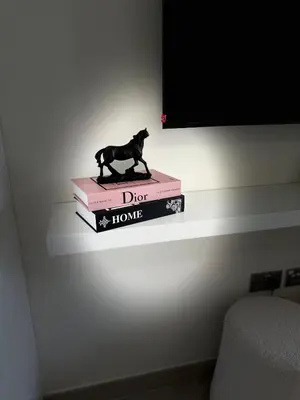 a cat statue sitting on top of two books at Modern Studio Near Burj Khalifa in Dubai