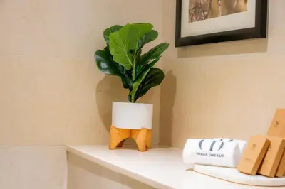 a plant in a white pot on a shelf in a bathroom at Lavish Studio at Creek Heights Residences - Boutique Concept by UDH in Dubai