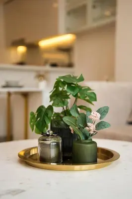 two plants on a gold tray on a table at Classic BNB - Ahad Large 1BR for 4 in Dubai