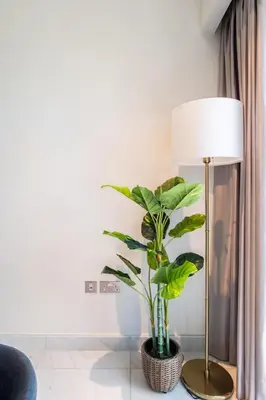 a plant in a room next to a lamp at Central Park Tower DIFC - 10 Minutes Walk to Metro - Spacious 1BDR in Dubai