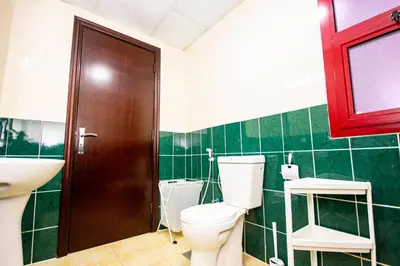 a bathroom with a toilet and a sink at Newly furnished brand new 1BHK in Al Warsan in Dubai