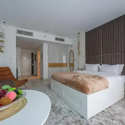 Central Apartment in Dubai Heart