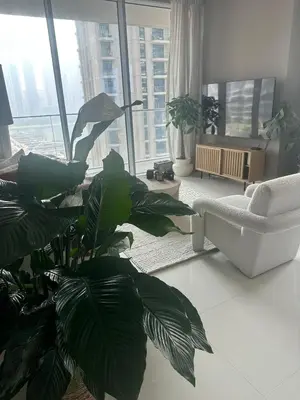 a living room with a plant and a couch at Palm & Marina View 1BR Apartment at Emaar Beachfront in Dubai
