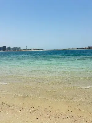 a view of the ocean from the beach at Fleur Star Apartments in Dubai