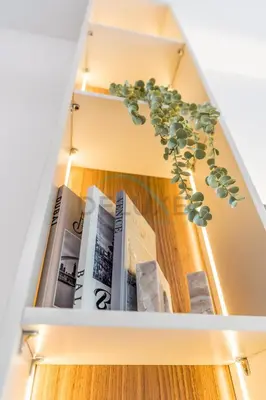 a shelf with books and a potted plant at Pool and Community View Studio with Balcony Near Park, Pantheon Elysee III, Jumeirah Village Circle by Deluxe Holiday Homes in Dubai
