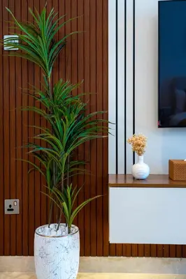 a potted plant sitting on a table in a room at Luxurious New Studio! 2 Double Beds! Sleek Design & High-End Amenities in Dubai Downtown in Dubai